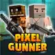 Pix Gunner